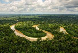 Climate Impact on Forest Species: Historical and Future Perspectives in the  Western Amazon 
